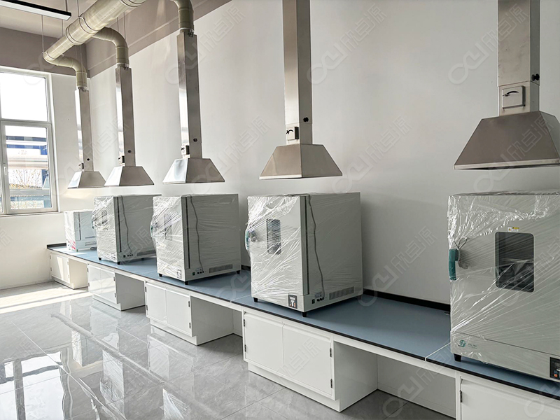 Laboratory Project of Luhua Group Laiyang Branch