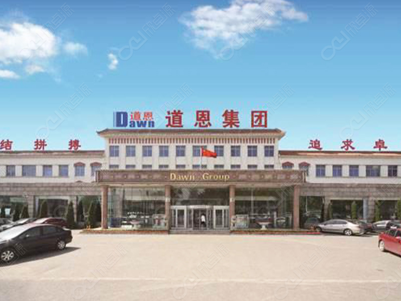 Shandong Daoen Polymer